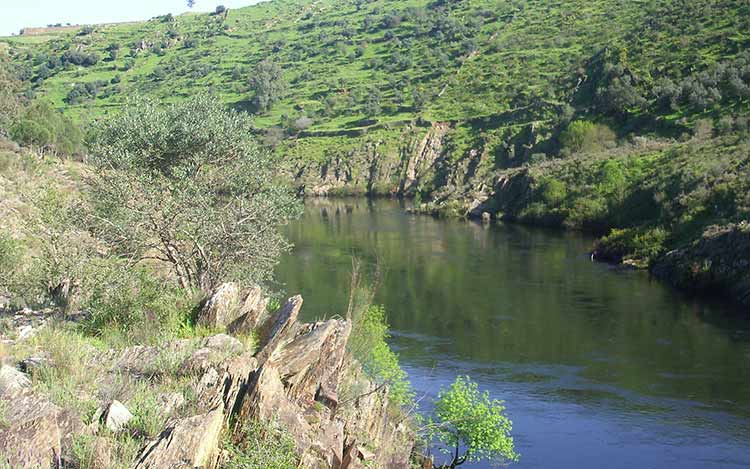 Explorando el Parque Natural Tajo Internacional: aventuras en el río Tajo desde Alcántara