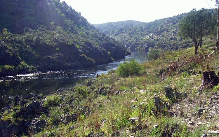 Descubre el paisaje otoñal en Extremadura: rutas, gastronomía y consejos