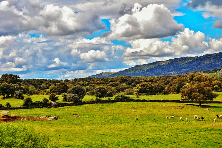 Vive en Alcántara una experiencia auténtica para el turista rural